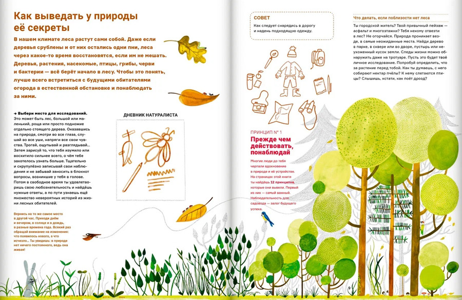 Сад круглый год. Что такое пермакультура