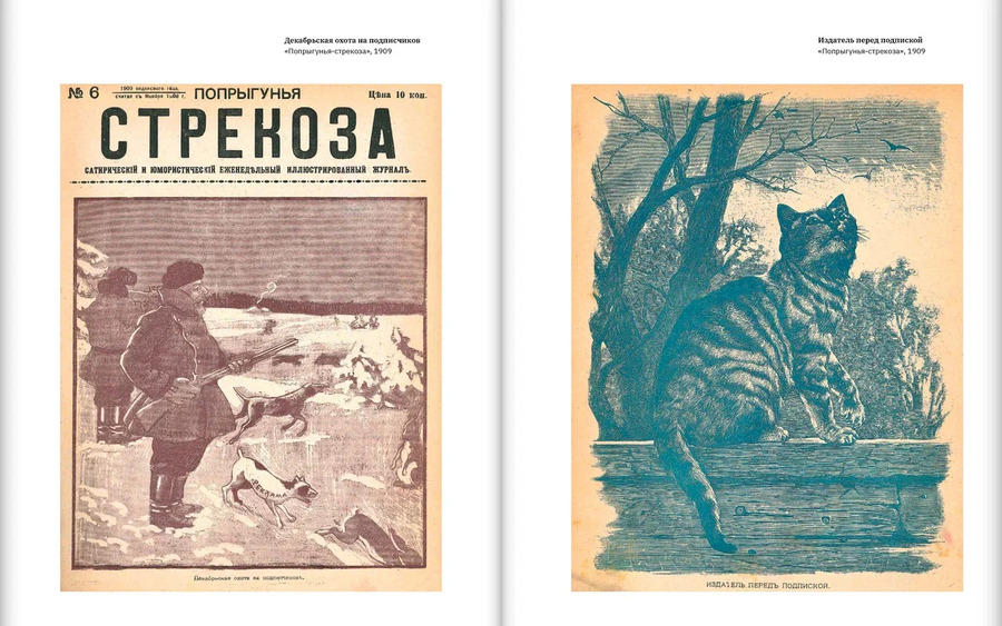 Жизнь-альбом. Сатира и юмор в русских журналах конца XIX — начала XX века