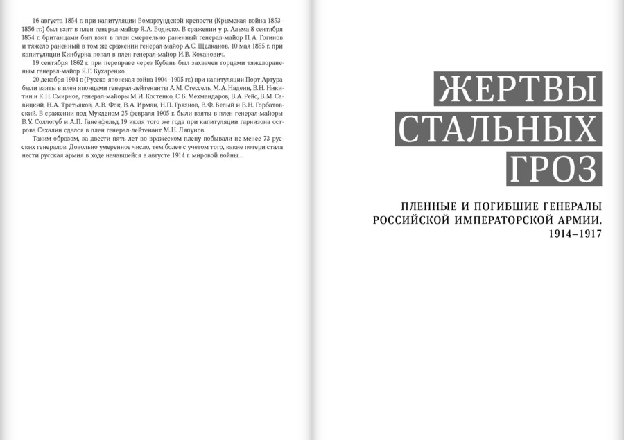 Жертвы стальных гроз: Пленные и погибшие генералы Российской императорской армии. 1914–1917