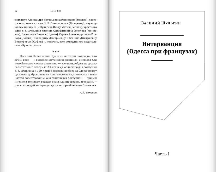 Василий Шульгин. 1919 год: в 2 томах